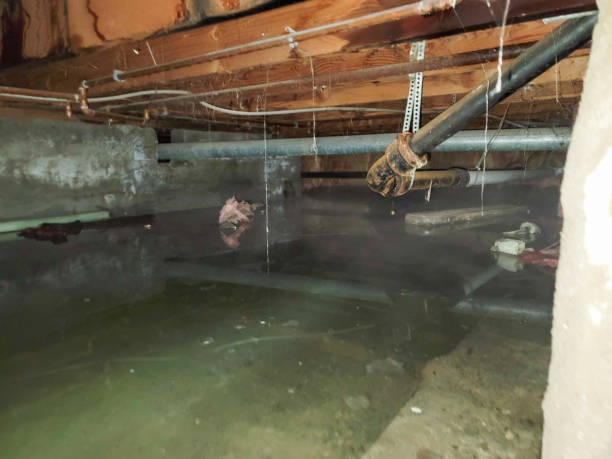 Best Water damage restoration near me  in Gardena, CA