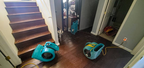 Best Flooded house restoration  in Gardena, CA