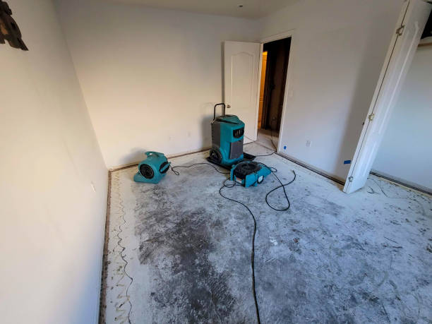 Best Professional water damage repair  in Gardena, CA