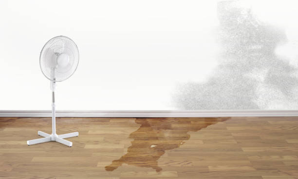 Best Water damage contractors near me  in Gardena, CA