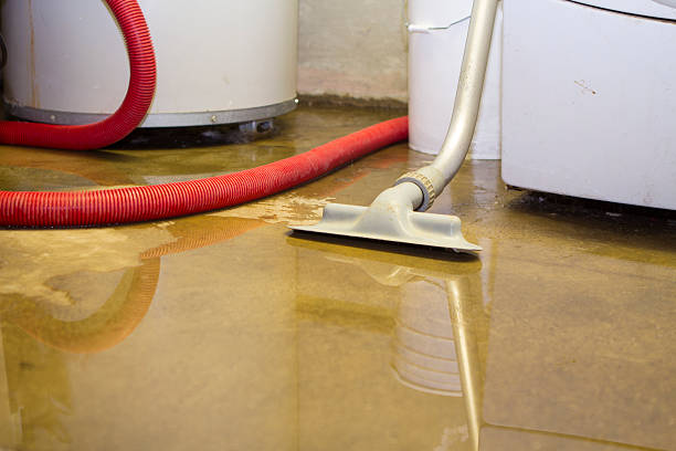 Best Residential water damage restoration  in Gardena, CA