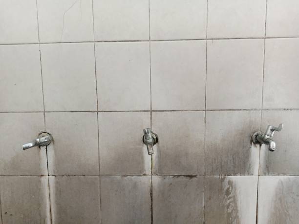 Best Fire Damage Restoration  in Gardena, CA