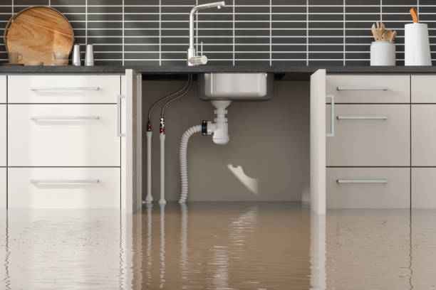 Best Ceiling water damage repair  in Gardena, CA