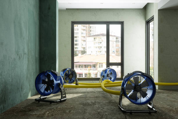  Gardena, CA Water damage restoration Pros