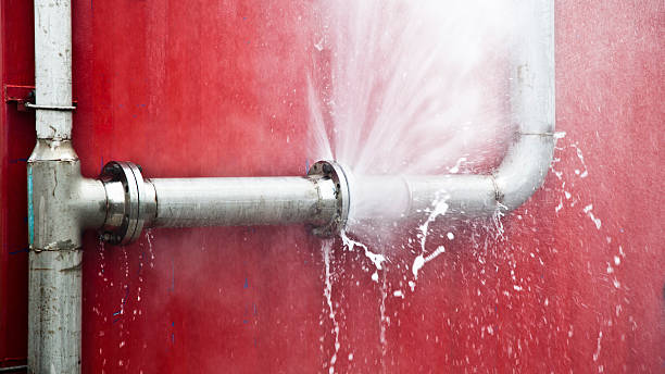 Best Water damage restoration mold remediation  in Gardena, CA